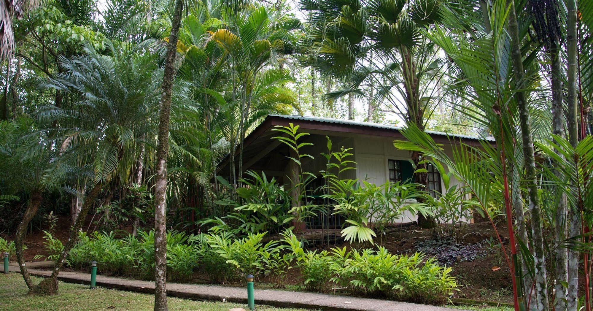 Hotel Villas Gaia Uvita Exterior foto
